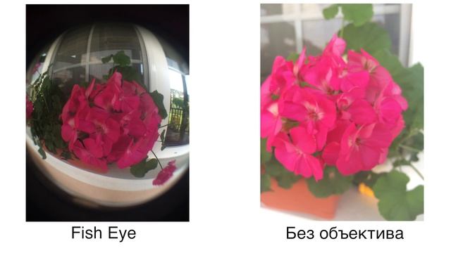 Объективы для смартфона. Универсальные объективы на прищепке 3 в 1 для смартфонов (Часть 5) смотреть онлайн