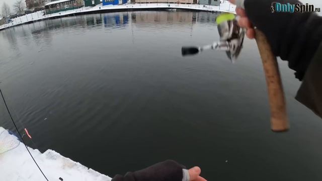 Ловля форели на спиннинг в мороз на блесна и резину. Рыбалка в Клевом месте Савельево. #OnlySpin смотреть онлайн