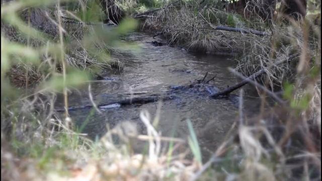 Расслабление от звуков журчания ручья. For meditation, study, stress relief and relaxation. смотреть онлайн