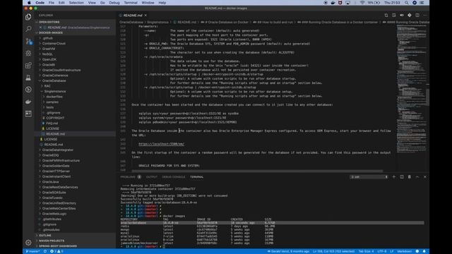 Oracle Docker Exercise смотреть онлайн