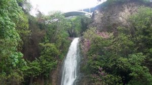 Тбилисский ботанический сад - единение с природой