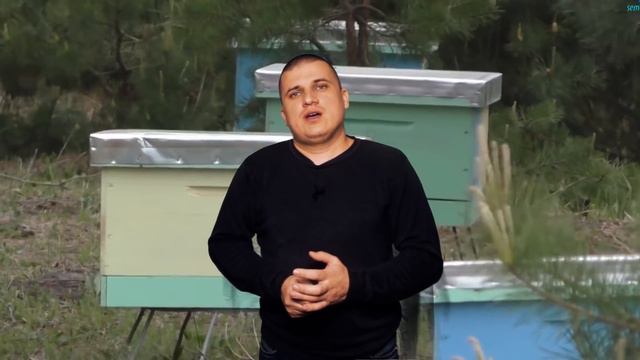 Приглашение на канал по пчеловодству Баскевич Андрея смотреть онлайн