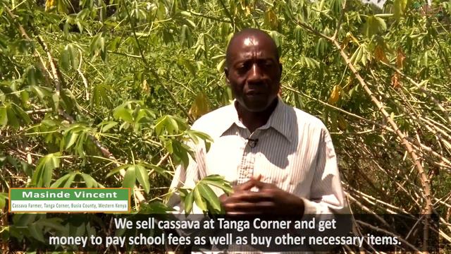 Tanga Corner - A Village Powered by Cassava смотреть онлайн