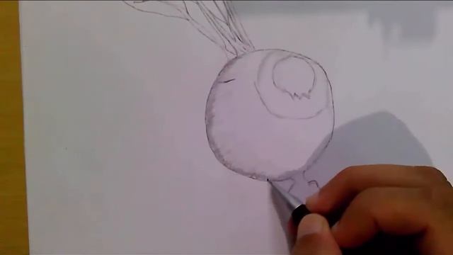 рисунок редьку - рисунок овощи смотреть онлайн