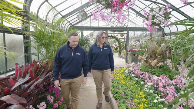 Floral Showhouse Orchid Show смотреть онлайн