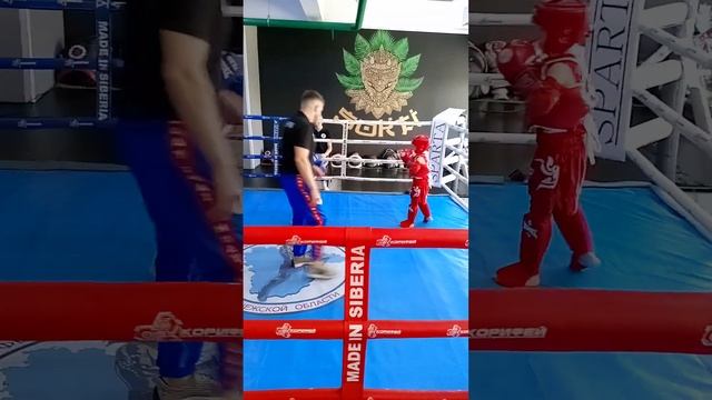 турнир по тайскому боксу 8 лет! смотреть онлайн