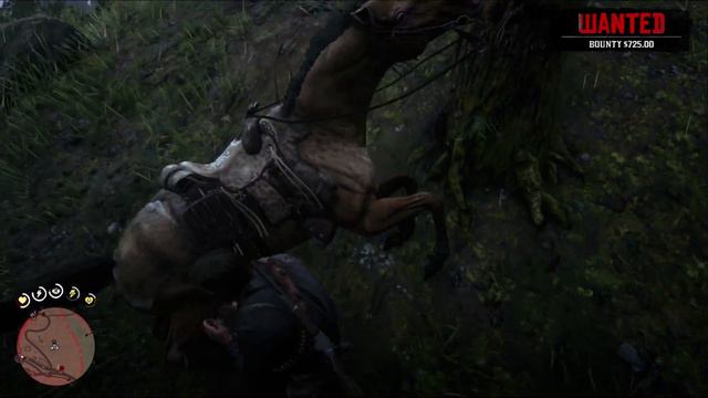 Missouri Fox Trotter Overview | Red Dead Redemption 2 Horses смотреть онлайн