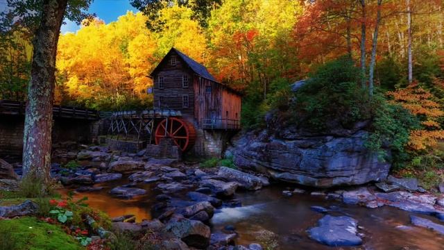 16 ноября - Волшебный день. Избавьтесь от неудач | Лунный Календарь смотреть онлайн