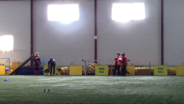 Большакова Варвара Бордер колли Змей ОБД 3 Кубок Санкт Петербурга 06.04.19 смотреть онлайн