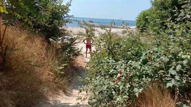 Дикарем на Черное море на машине с палаткой с Прицепом-Кемпепером. Бесплатно. .август 2023г. смотреть онлайн