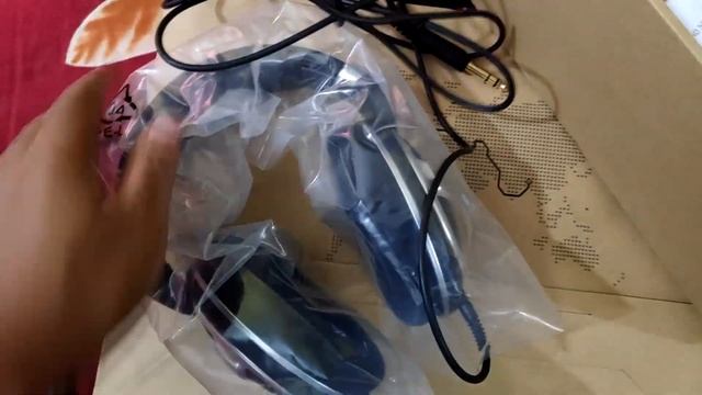 Sennheiser HD 599 SE Unboxing (special Edition)