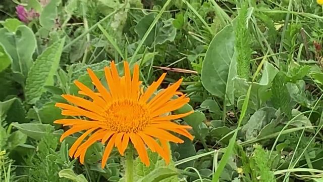 Одни с семьей в горах 2023 смотреть онлайн