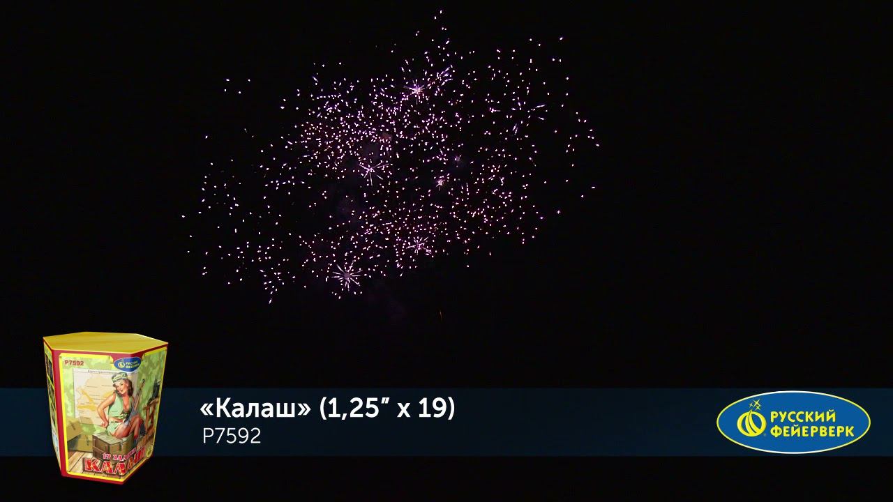 P7592 смотреть онлайн