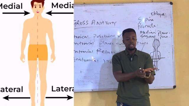 Introduction to anatomical positions, planes, movements and relations смотреть онлайн