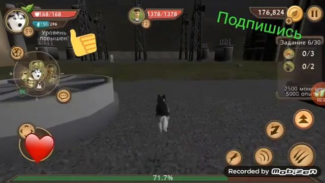 Обзор на Dog Sim или же  Убийство Боссов в Dog Sim. |SimPlayers PV