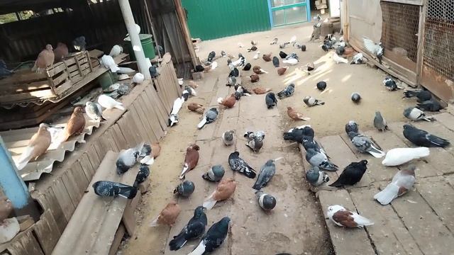 21 октября 2023 г. смотреть онлайн