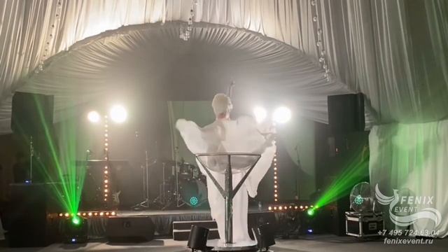 Заказать акробатическое шоу Девушка в бокале на праздник, свадьбу, юбилей и корпоратив в Москве смотреть онлайн