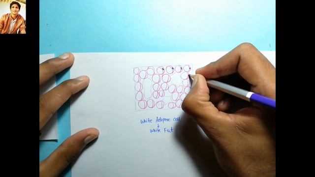 21 How to Draw Dense Irregular Connective Tissue & Adipose fat/Histology/1st Year MBBS смотреть онлайн