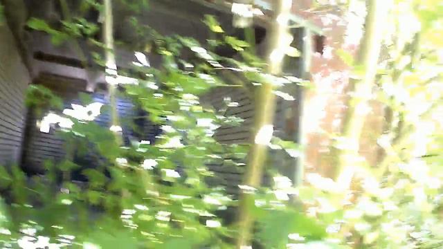 Прогулка вдоль реки. смотреть онлайн