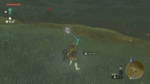 ПОЛЕЗНЫЕ СОВЕТЫ №3 В НОВОЙ ЗЕЛЬДЕ [THE LEGEND OF ZELDA: TEARS OF THE KINGDOM]