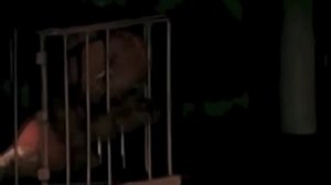 Что такое настоящий верный друг м ф Тимка и Димка