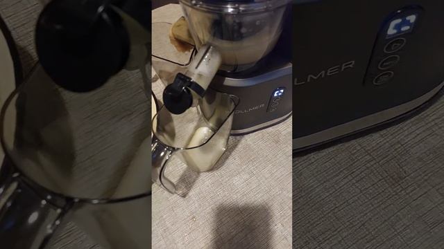 Шнековая соковыжималка Wollmer J310 Extra Fresh