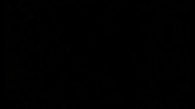 Groovie!- Legendary|| Credits To Groovepad