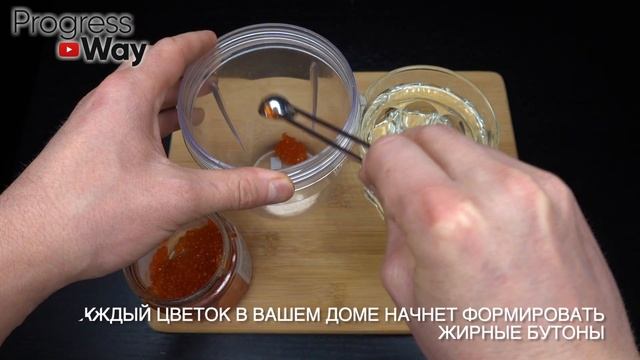 Зацвел за 12 часов! 1 чайная ложечка и пышное цветение обеспечено! смотреть онлайн