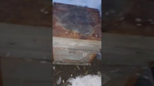 Пчёлки живущие  в сильный мороз.