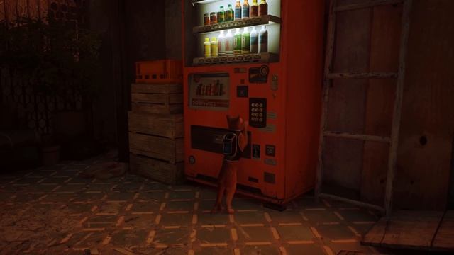 STRAY | Gameplay Walkthrough смотреть онлайн