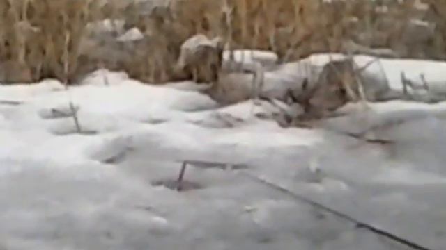 Сугояк Рыбалка 19.04.2017 смотреть онлайн