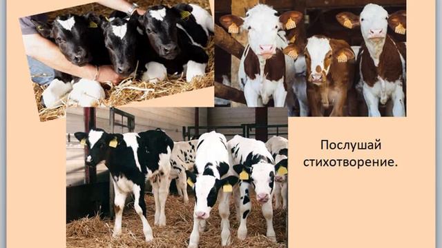 20.10.2020 Технология. 1 урок. Тишкина Т.Н. смотреть онлайн