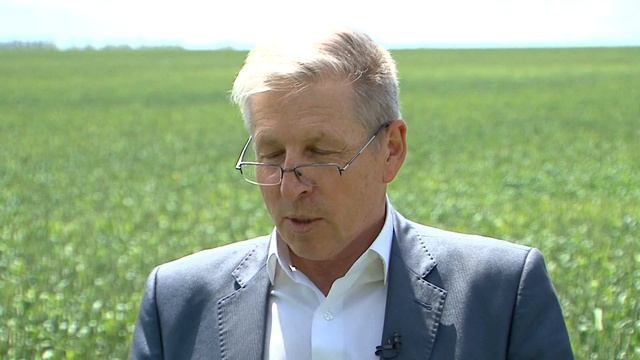 «Агрономика». Фитосанитарное состояние зерновых (10.06.2016) смотреть онлайн