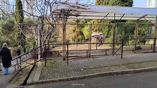 Дендрарий в городе Сочи. Часть 2. Знакомство с белочкой, павлином и страусами.