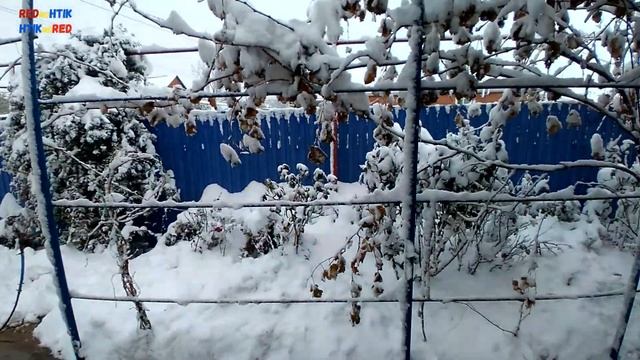 Готовимся к зиме Последние приготовления в саду и в огороде 9