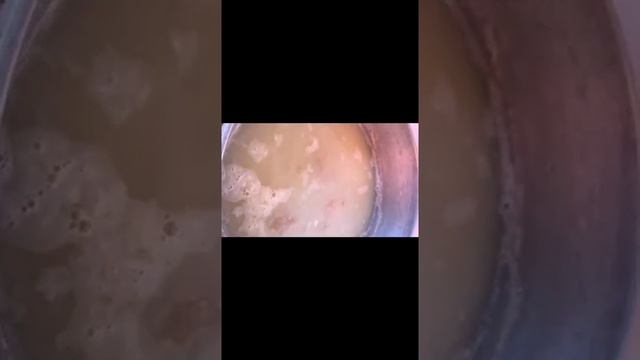 ЁЗГИ ТАОМ ГУЖА. Тезгина видеони куринг, ???????? жонни рохати гужа таомини таййорланг.