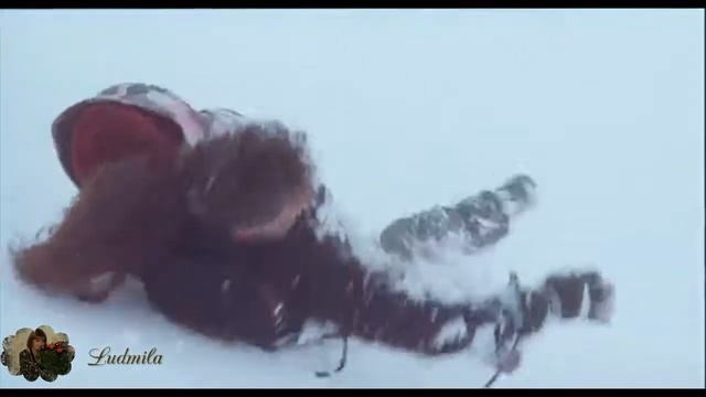 ВИТАЛИЙ ВОЛК БЕЛЫЙ СТИХ смотреть онлайн