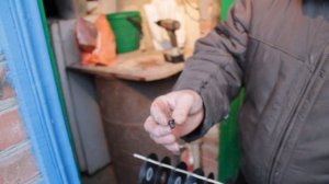 Как отпугнуть воробьёв? Гуманный метод