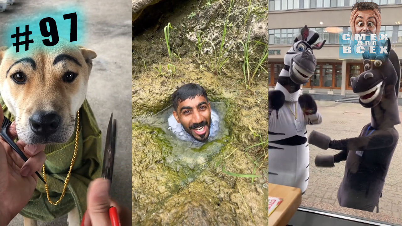 ПРИКОЛЫ 2023 СМЕШНЫЕ ВИДЕО ЧУДИКИ ИЗ ТИК ТОК №97 смотреть онлайн