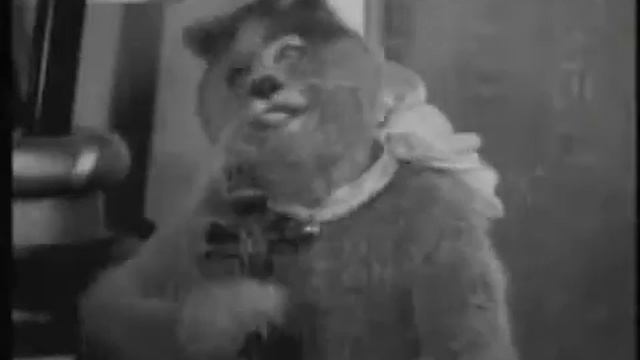 Омский ансамбль смотреть онлайн