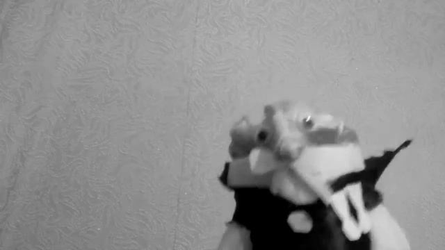 Гомер и Норман весёлые мелодии кукарача (1 часть)