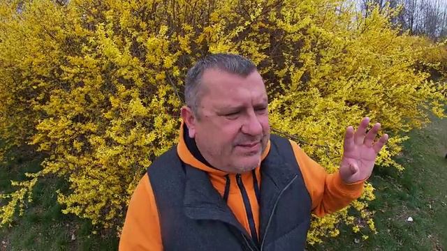 КАК ГРАЖДАНАМ СРЕДНЕЙ АЗИИ ПРАВИЛЬНО ЛЕГАЛИЗИРОВАТЬСЯ В ЕВРОПЕ ПОСЛЕ ВЫЕЗДА ИЗ УКРАИНЫ? смотреть онлайн