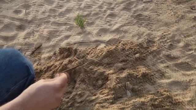 Находки металлоискателем Promaster-M2