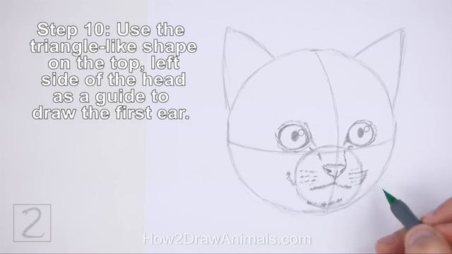 How to Draw a Kitten (Head Detail) смотреть онлайн