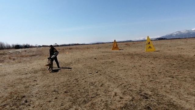 21.  выражено/пож ЮГОРИЯ ФРАУ ФЕРРАРИ (Аксельбруннен Антей – Аланжур Патриция)