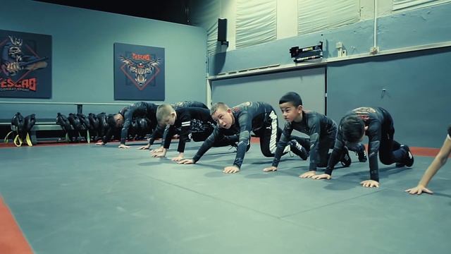 Tescao Volenko Martial Arts For Kids