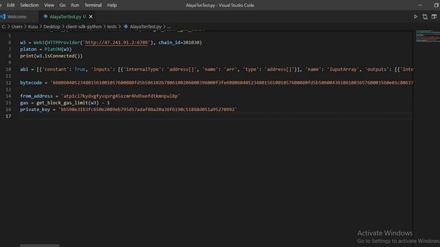 Using the Python SDK (Alaya) to build DApps смотреть онлайн