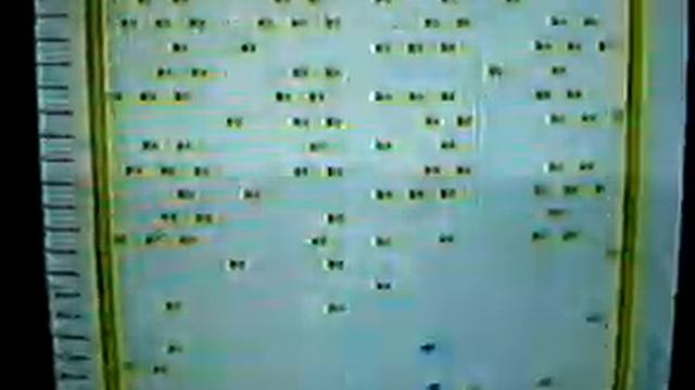 Centipede: Fried Game - Backward Screen смотреть онлайн