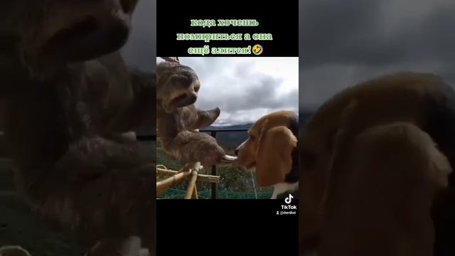 милота смотреть онлайн