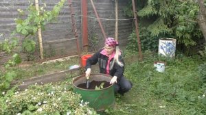 Выращивание огурцов в бочке на сорняках